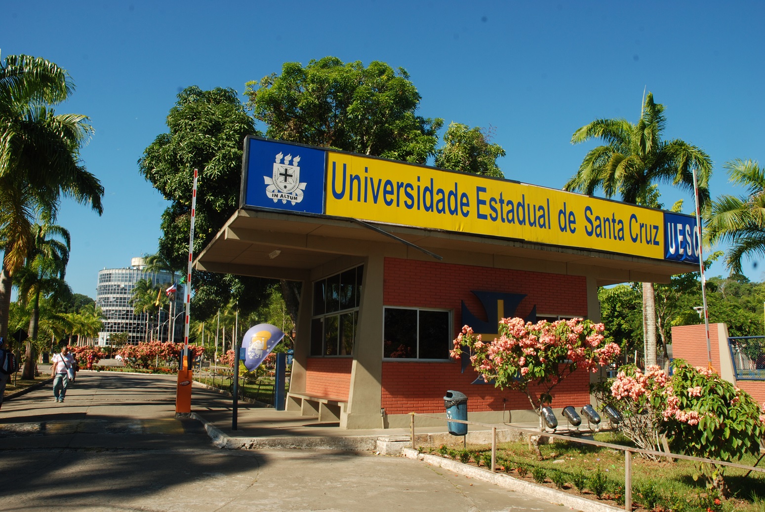 Estado realiza novo crédito para estudantes beneficiados pelo Programa Mais  Futuro - Diário Bahia